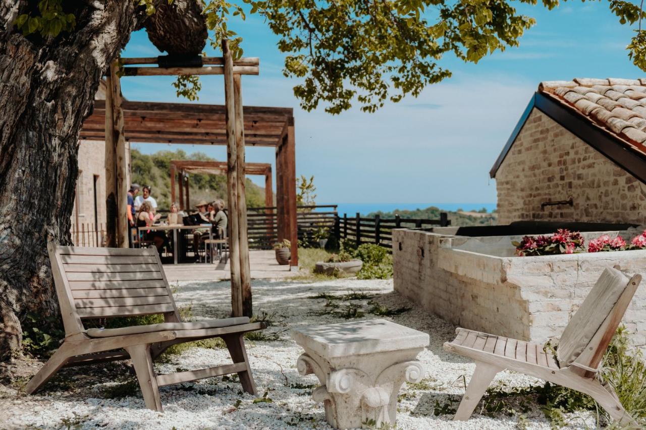 Monna Terra B&B - B&B Fermo