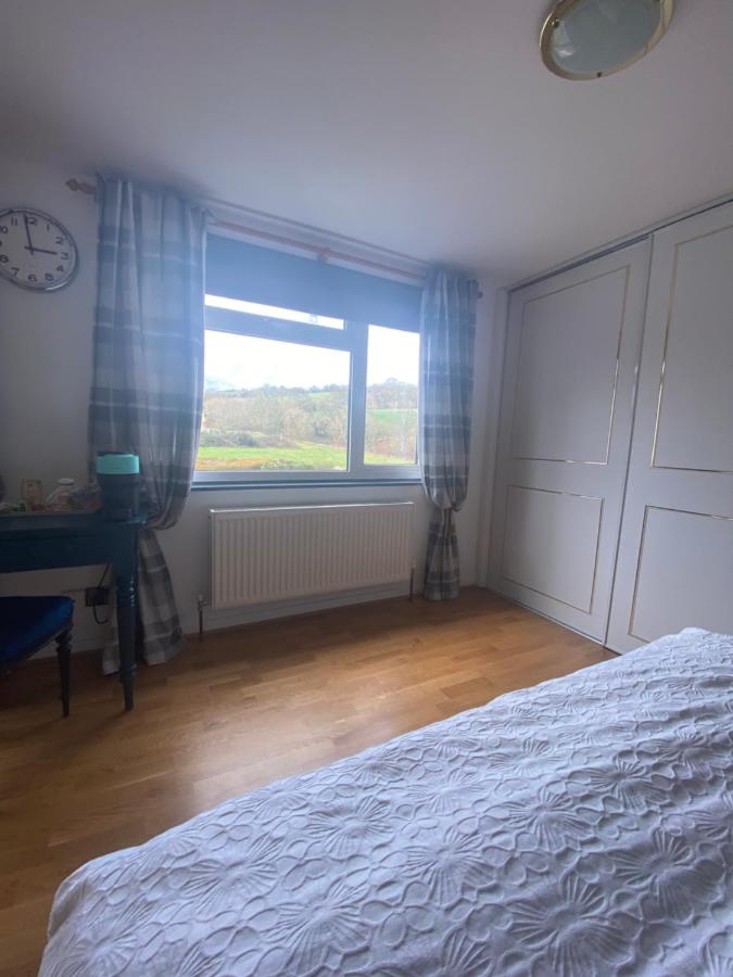 King Room with Mountain View
