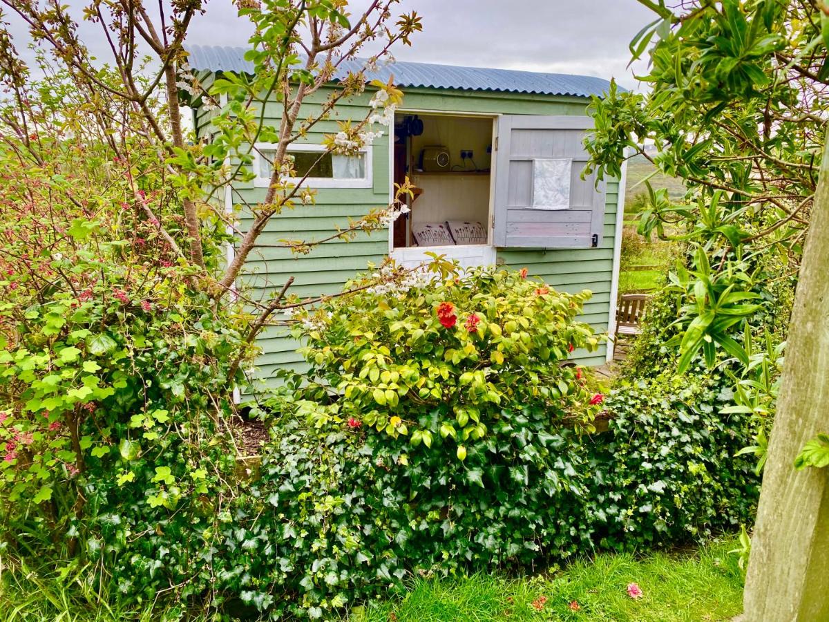 B&B Saint Dennis - Shepherd's Hut Glamping Accommodation - Bed and Breakfast Saint Dennis