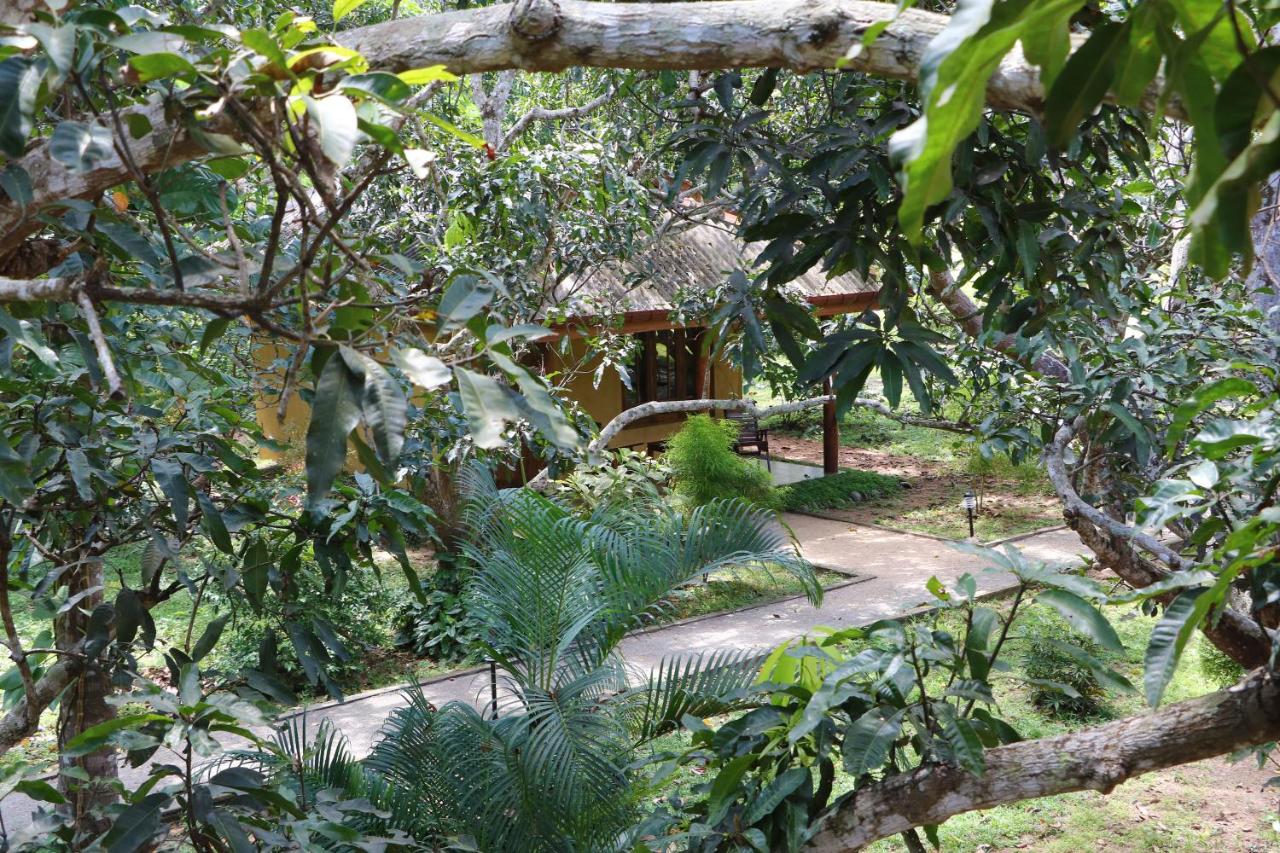 Family Room with Garden View