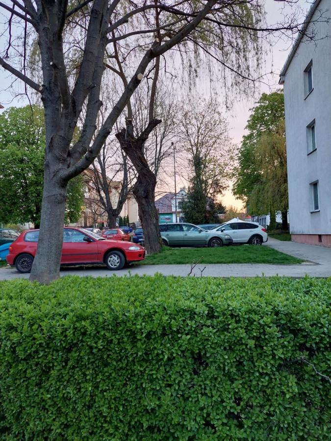 Apartament Finezja - B&B Sandomierz