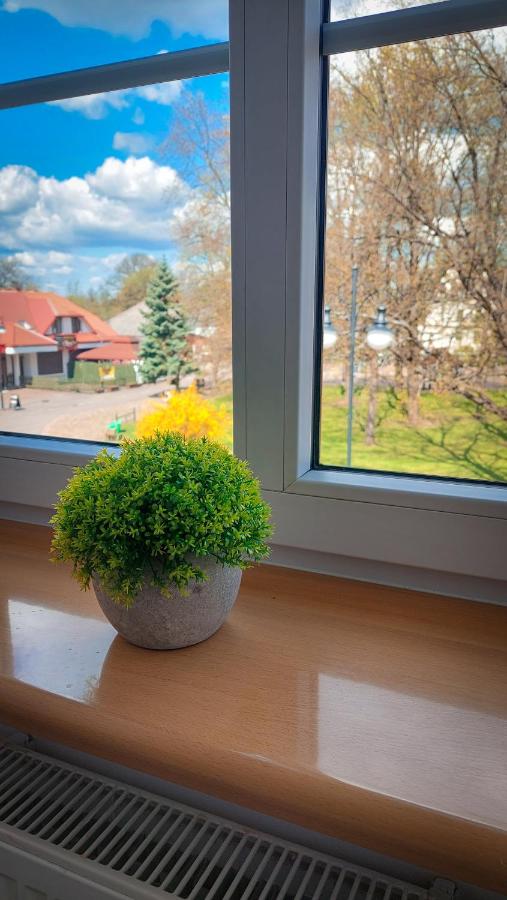 Willa Centrum - Ferienwohnung