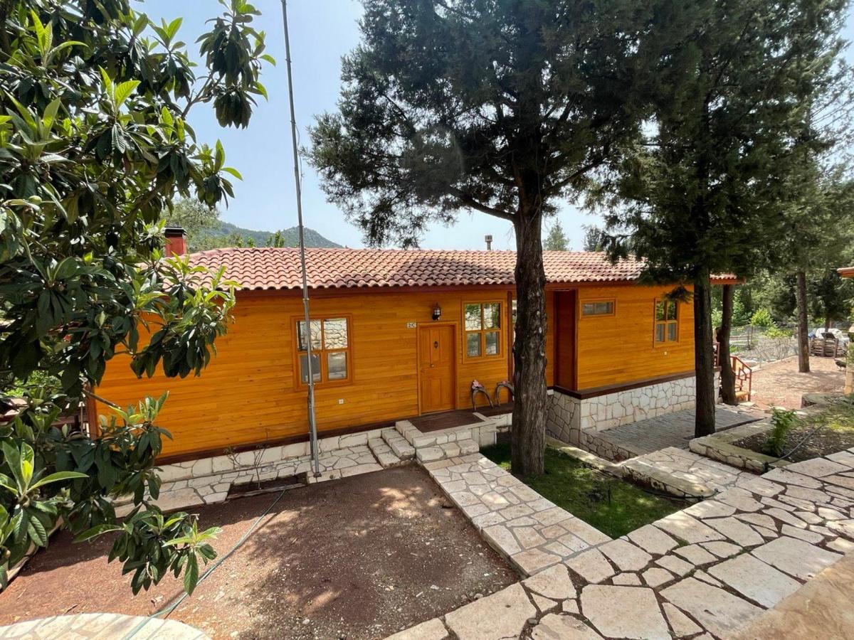 Bungalow