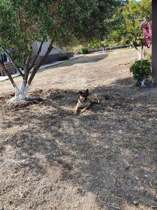 Ήσυχη μονοκατοικία κοντά στη θάλασσα!!! - B&B Polichnítos