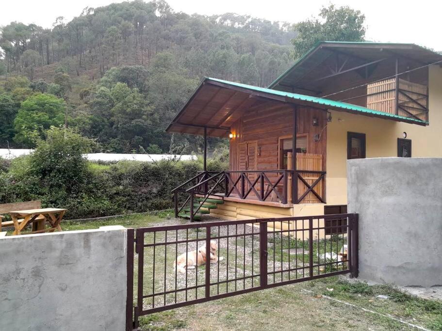 Whistling Thrush Chalet - Ferienwohnung