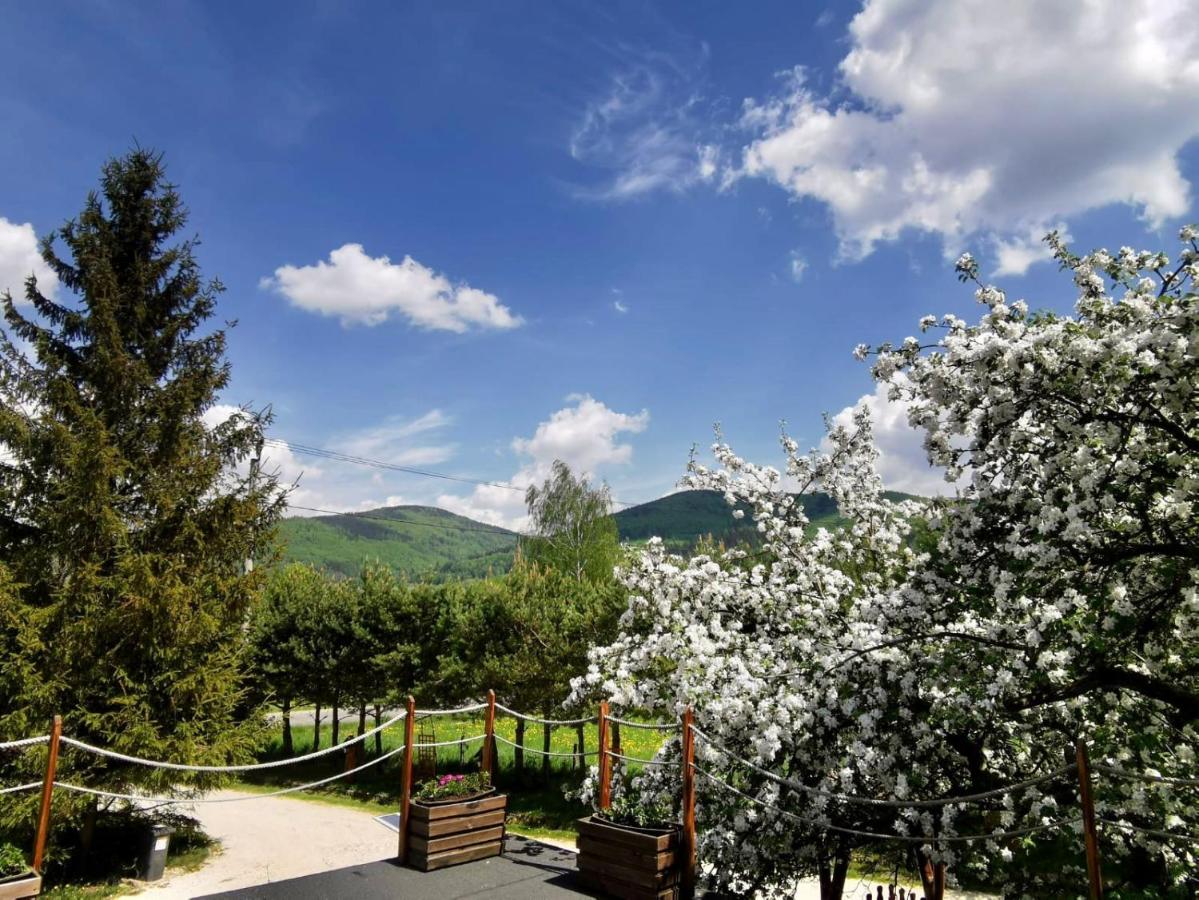 AGROTURYSTYKA POD ŚNIEŻNĄ - B&B Bystrzyca Kłodzka