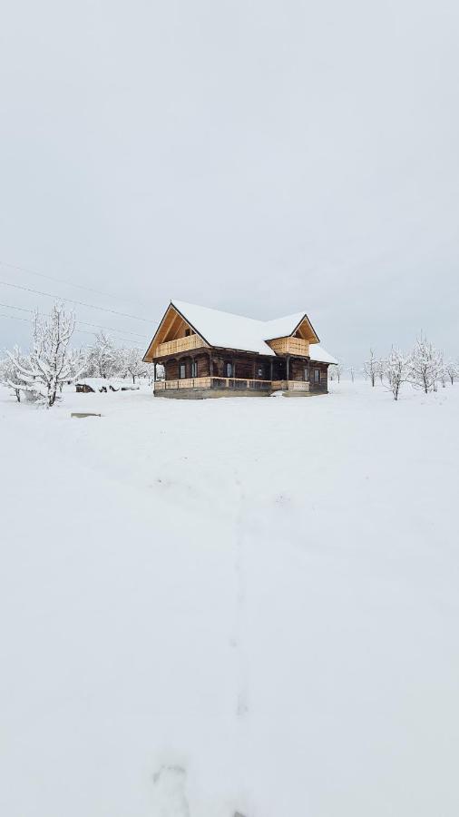 Casa bunicilor din Oncești - B&B Oncești