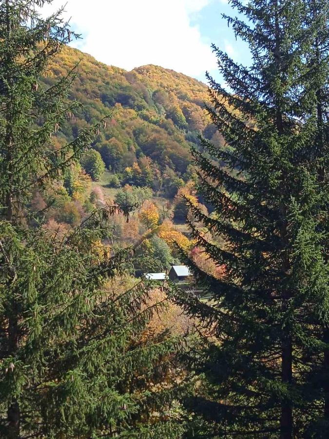 Naša kuća-Veruša - B&B