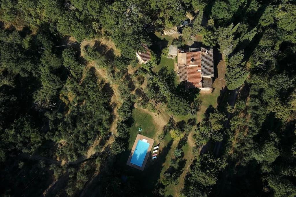 Tuscan Countryside Paradise with Pool - Ferienwohnung