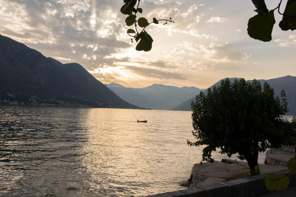 B&B Kotor - Seaside Apartment Regata, only 15 meters from sea - Bed and Breakfast Kotor