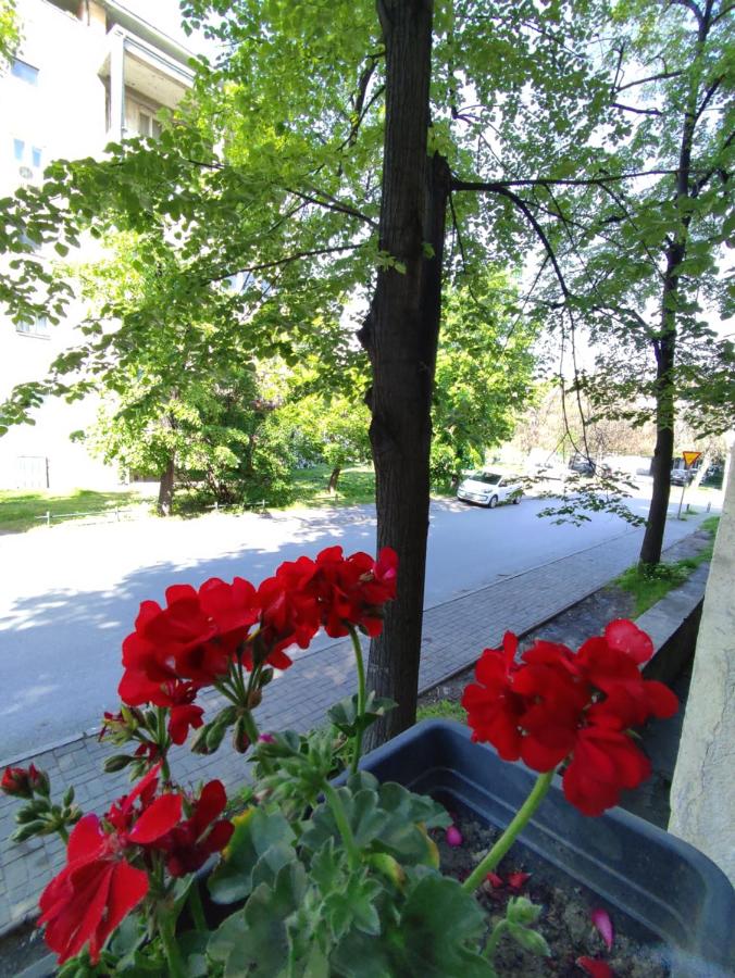 Mila Apartment - B&B Skopje