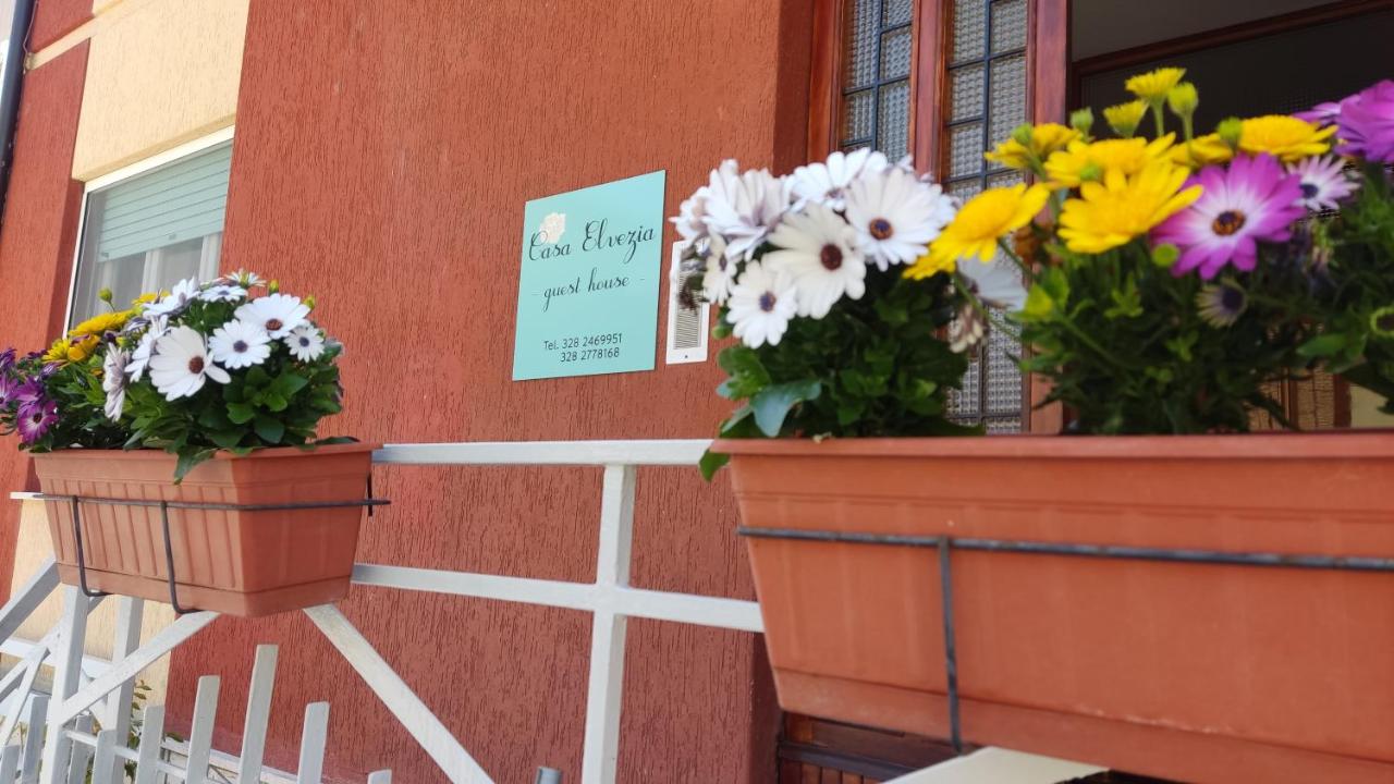 Casa Elvezia Guest House - Ferienwohnung