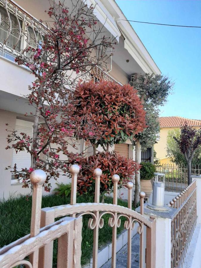 Summer Vibe Apartment - B&B