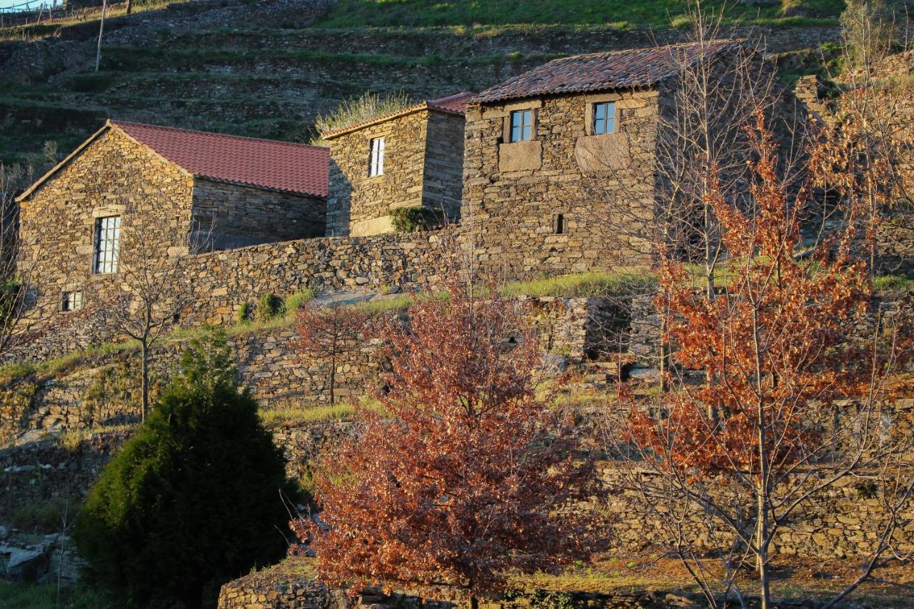 B&B Mesão Frio - Cardenha do Douro - Bed and Breakfast Mesão Frio