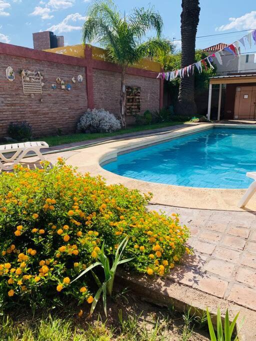 La Palmera - B&B