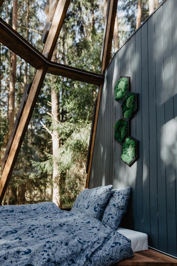 CallTipi glass house - B&B
