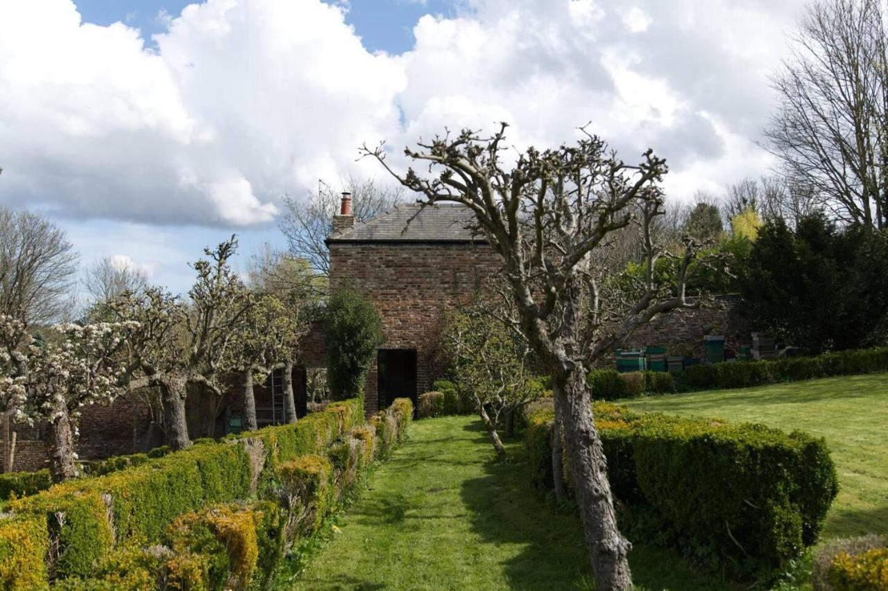 B&B Ryton - Cosy secret cottage in a beautiful walled garden - Bed and Breakfast Ryton