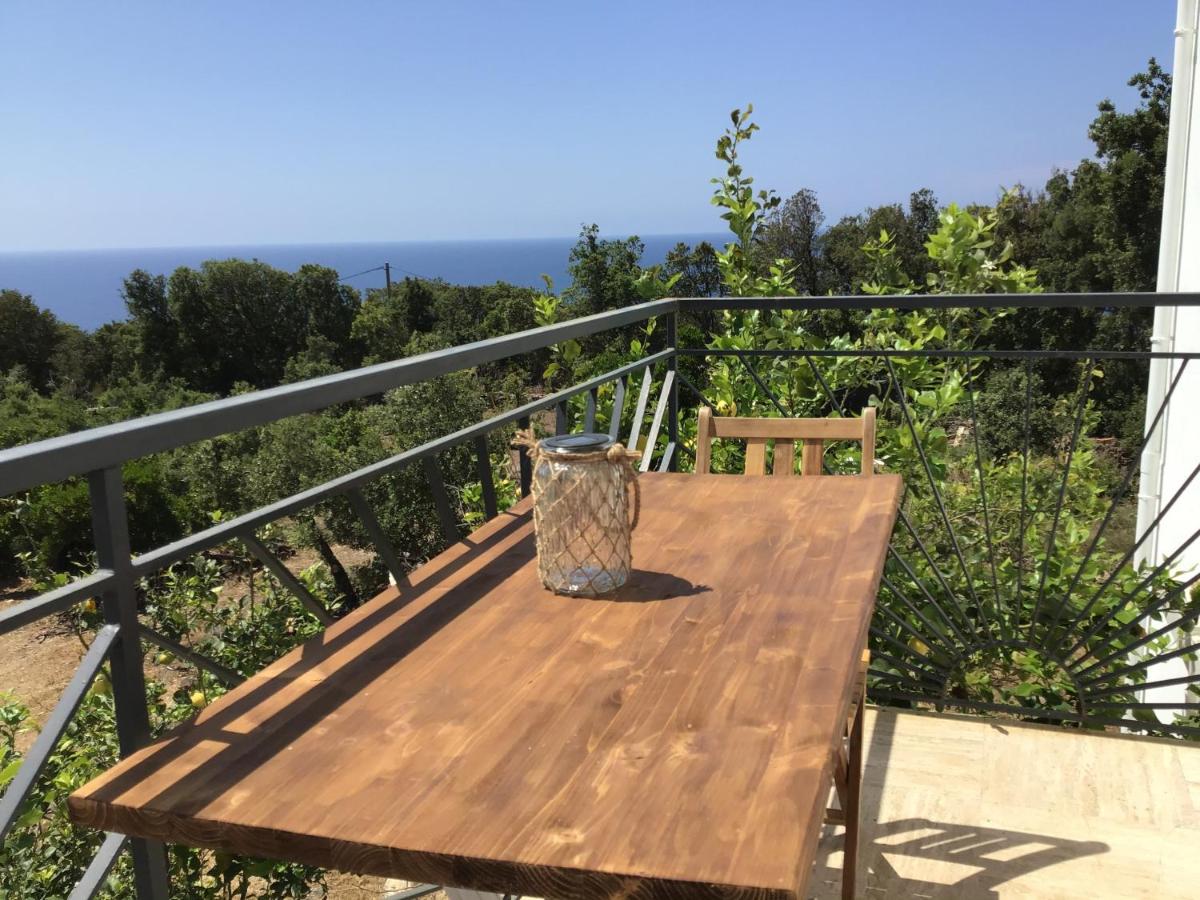 Cap en Corse - B&B
