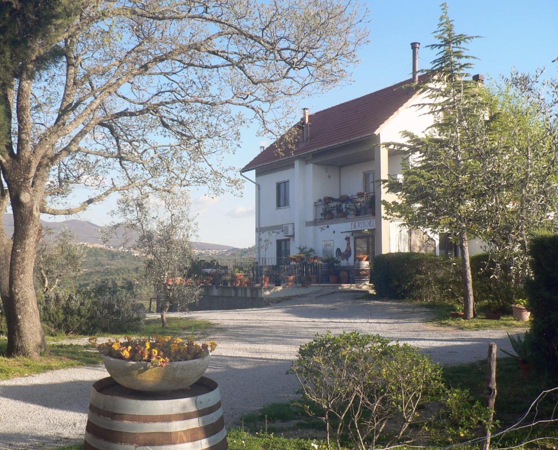 Appartamenti Poggio Rineschi - B&B
