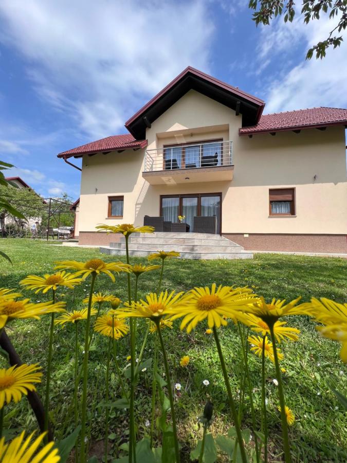 Apartments River - B&B