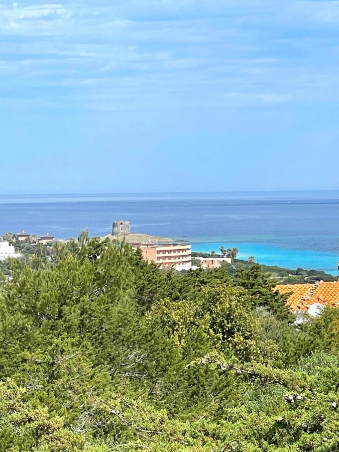 Casa vacanze Stintino vista mare - B&B Stintino