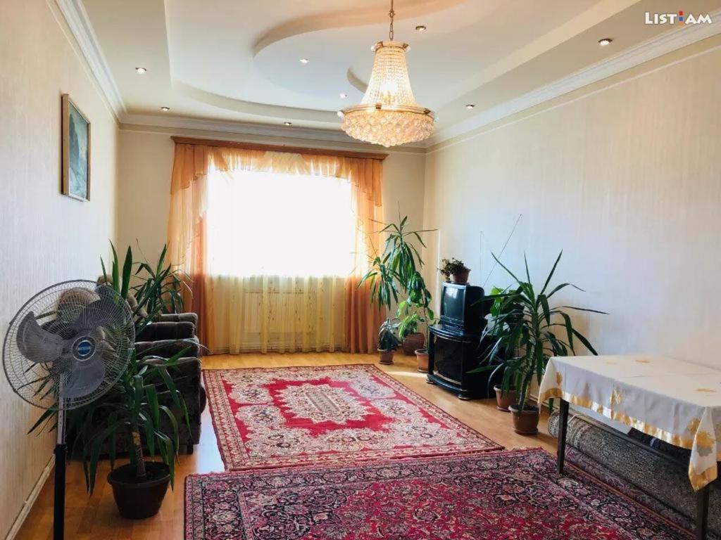 Apartamento de 1 dormitorio