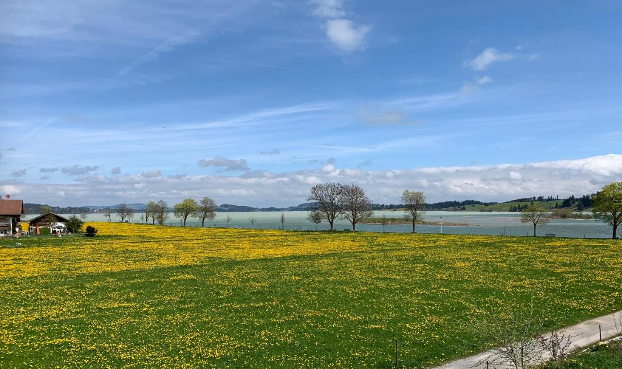 Ferienwohnung Seestadel - B&B