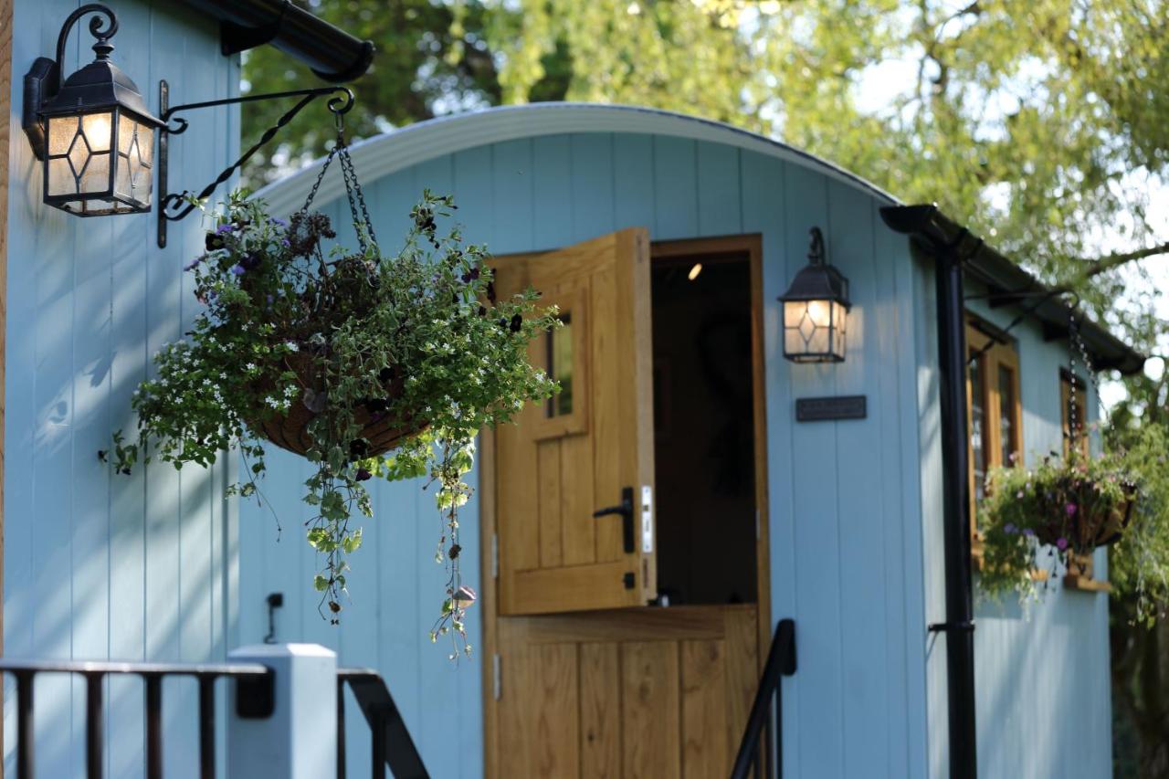 Upper Gelli Luxury Holiday Lodge, Converted Dairy & Cosy Shepherds Huts - Bed and Breakfast