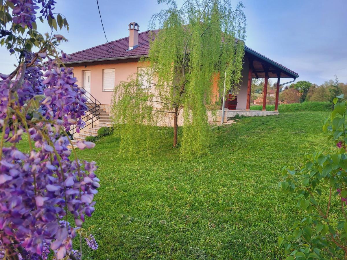 B&B Mionica - Apartman MatiNik - Bed and Breakfast Mionica