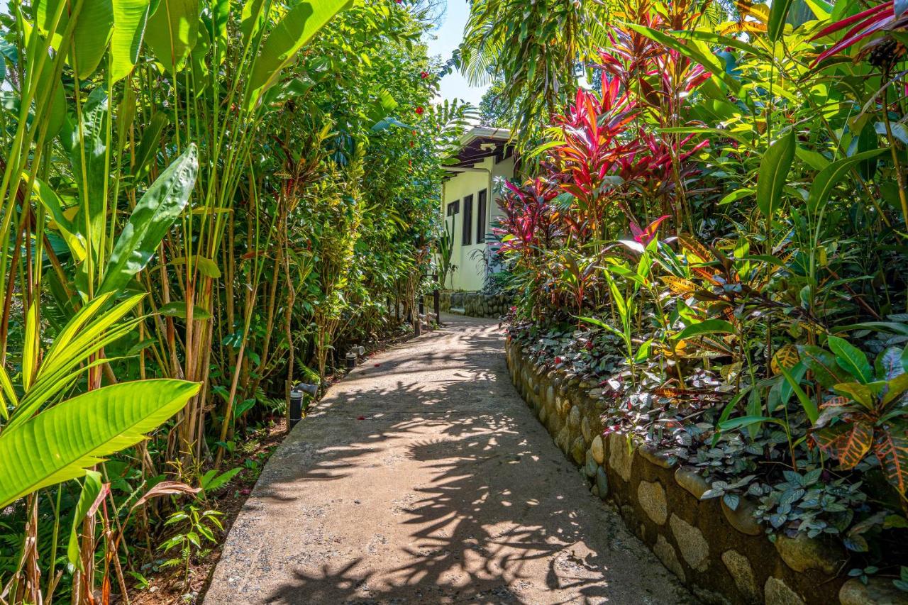 Deluxe Villa Colibri (accessible)