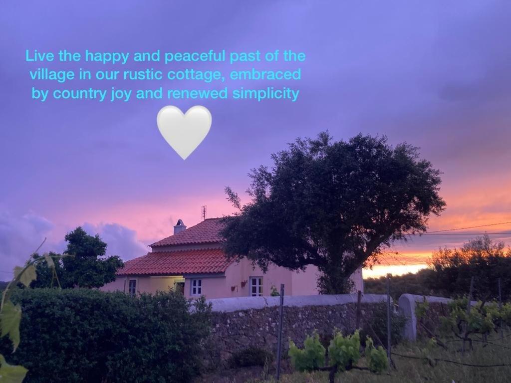 Linhal das Meias - São José das Matas - B&B São José