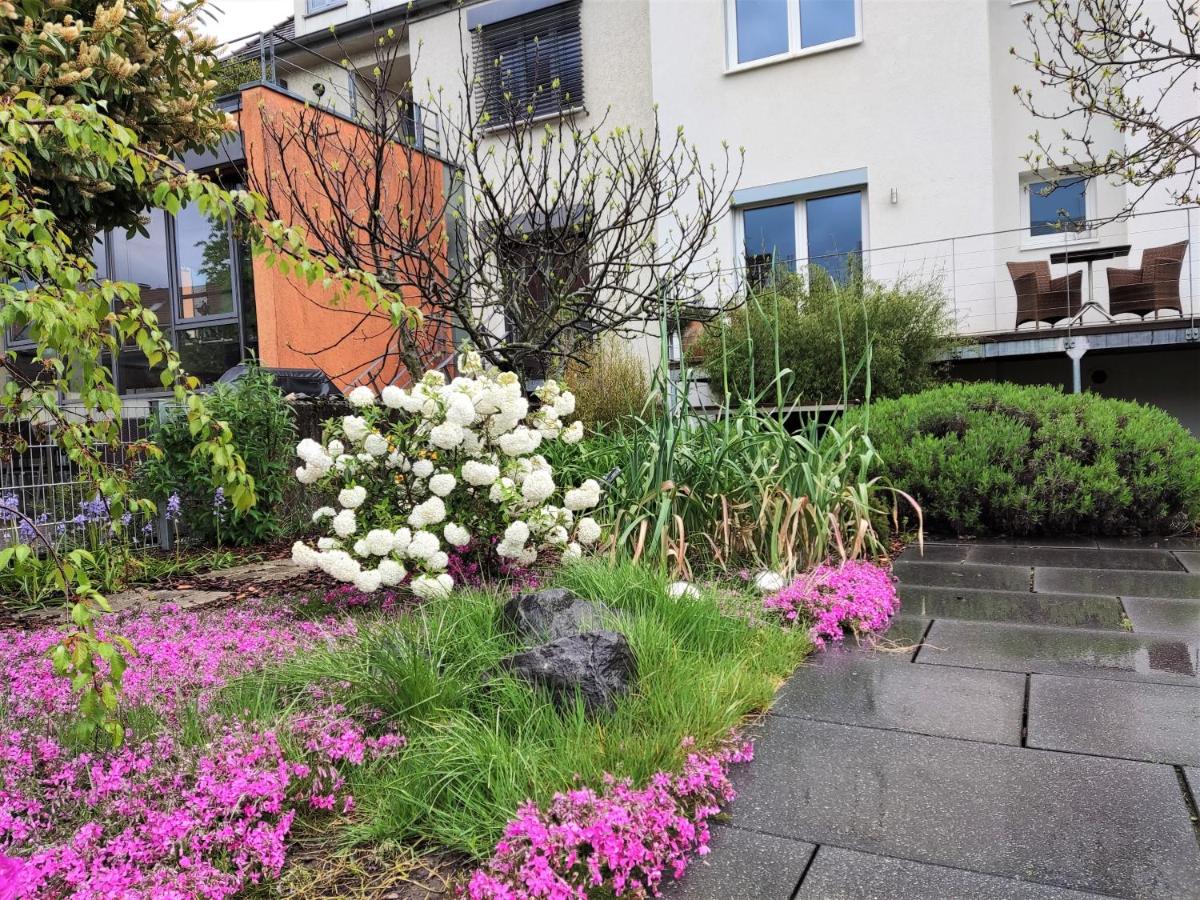Zen Apartment - spacious - garden - kitchen - B&B