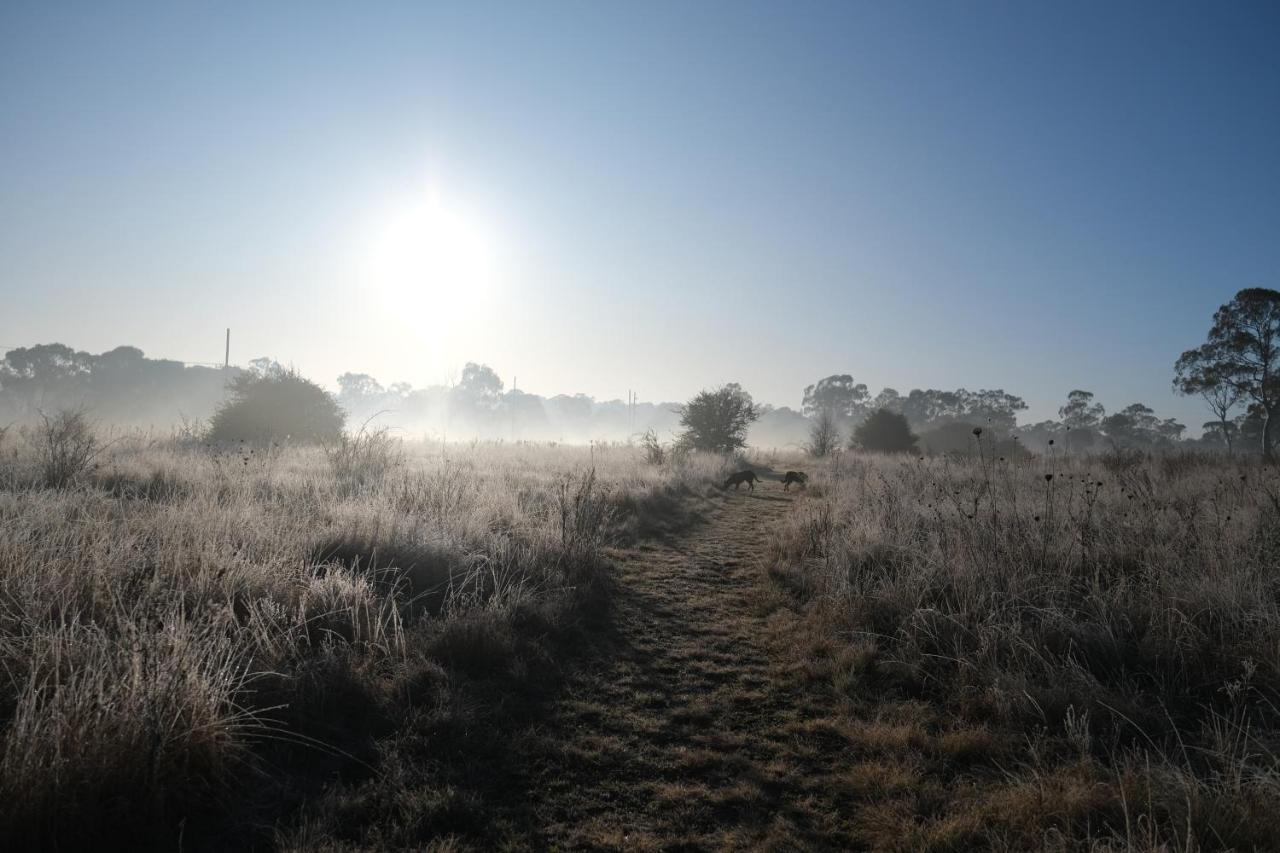 B&B Armidale - Twodogfolly - Bed and Breakfast Armidale