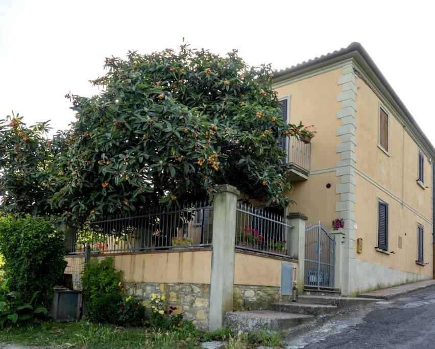 B&B Crocino - [toscana&mare] cav la lodola - Bed and Breakfast Crocino