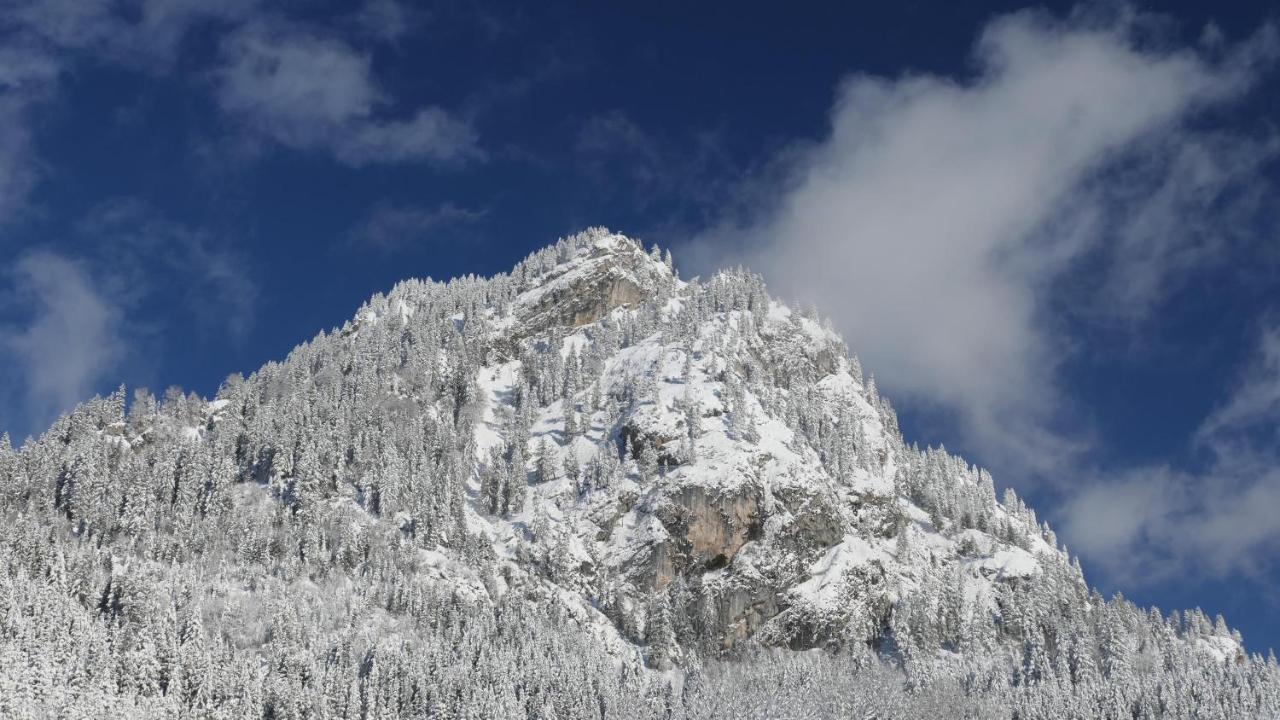 Appartement met 1 Slaapkamer en Douche