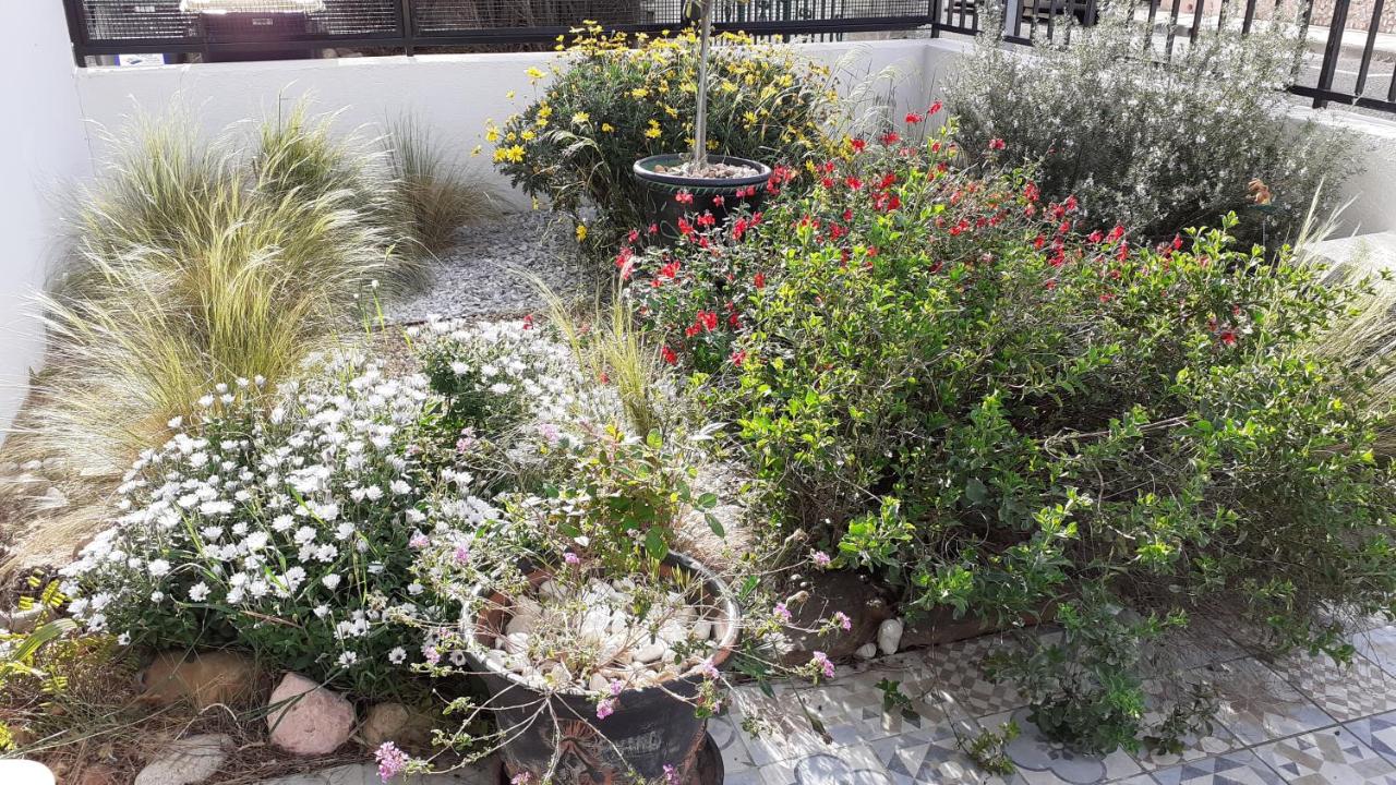 Bel appartement avec grande terrasse ensoleillée et jardin - Chambres d'hôtes Perpignan