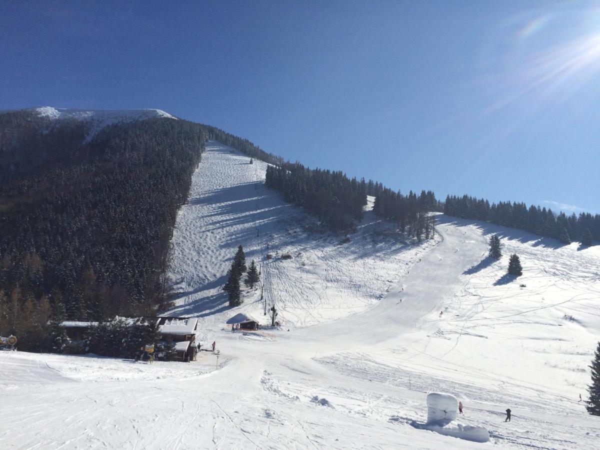 Horský apartmán Vrátna-Saška - Ferienwohnung Terchová