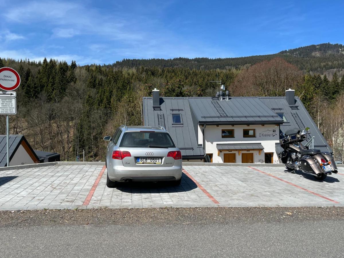 U Králíka, apartmán H, 3 samostatné ložnice - mezonet, 3 vlastní parkovací místa, v klidu, přitom v centru zábavy, nově otevřený aquapark v docházkové vzdálenosti - Chambres d'hôtes Dolní Morava