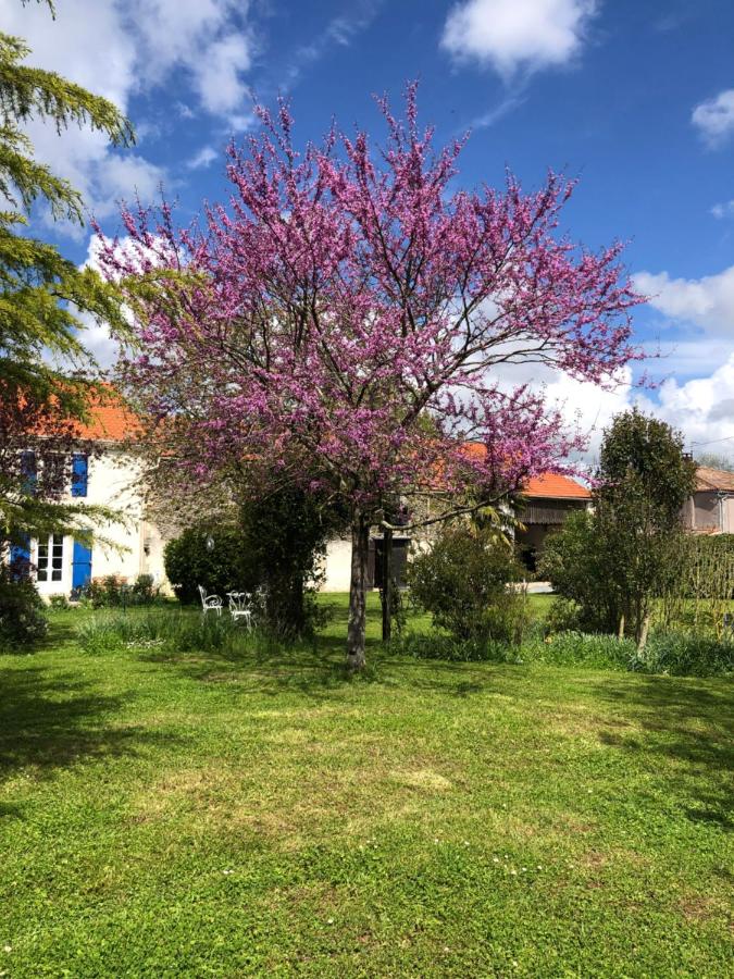 B&B Vandré - AU DOMAINE DES OISEAUX ses chambres sa gloriette insolite face à l'étang bucolique - Bed and Breakfast Vandré