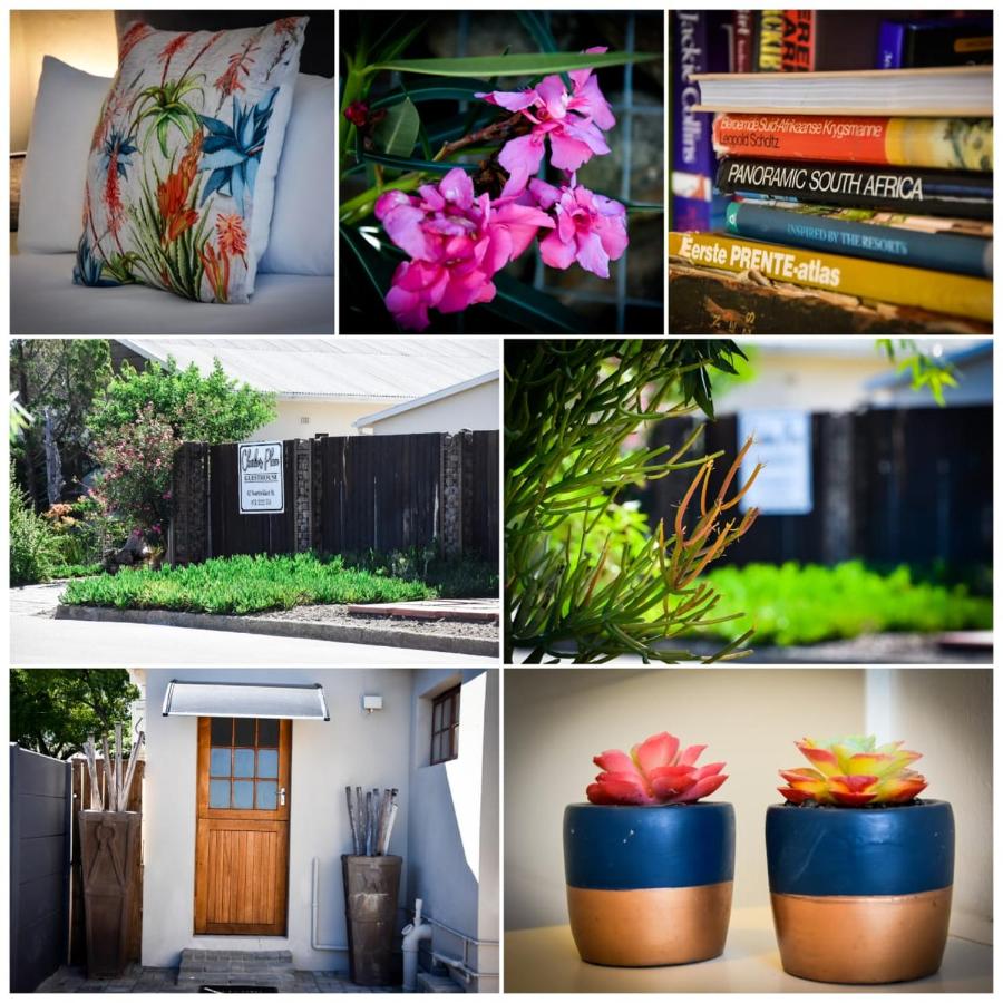 B&B Beaufort West - Charlie's Place - Self catering studio - Bed and Breakfast Beaufort West