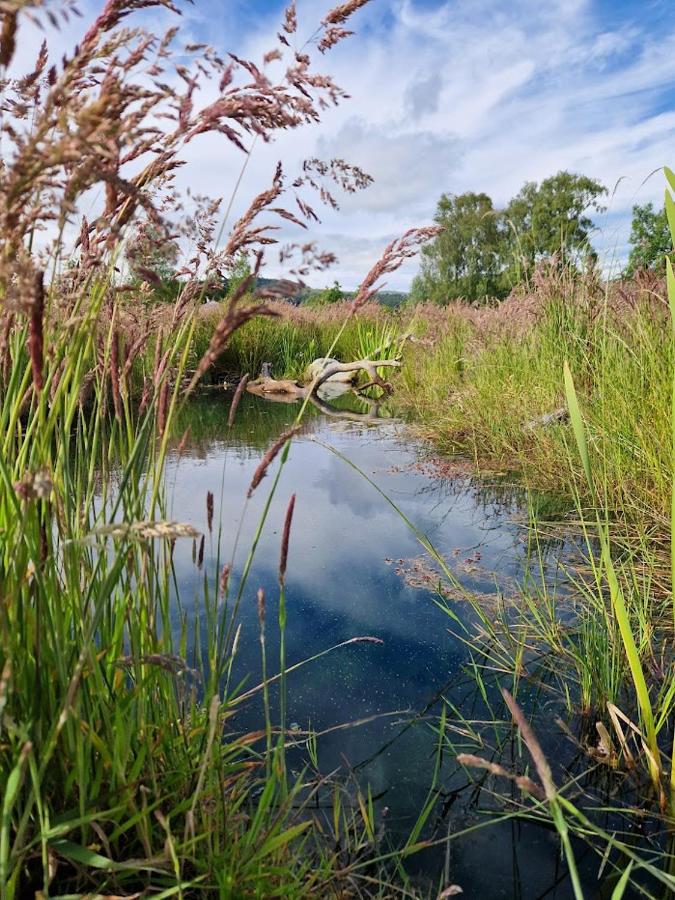 Byre 1 - Bed and Breakfast