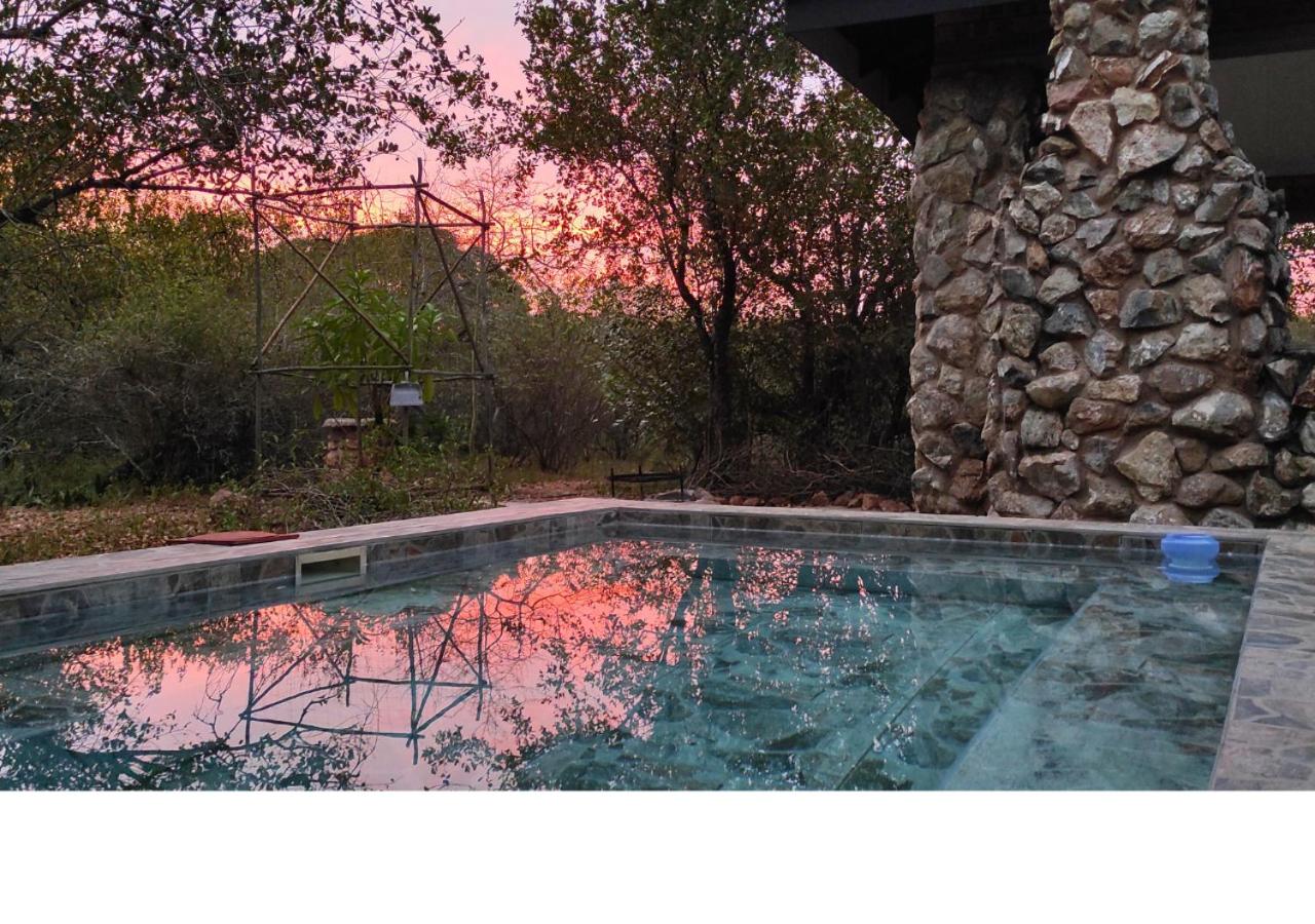 Lion King - Bed and Breakfast Marloth Park