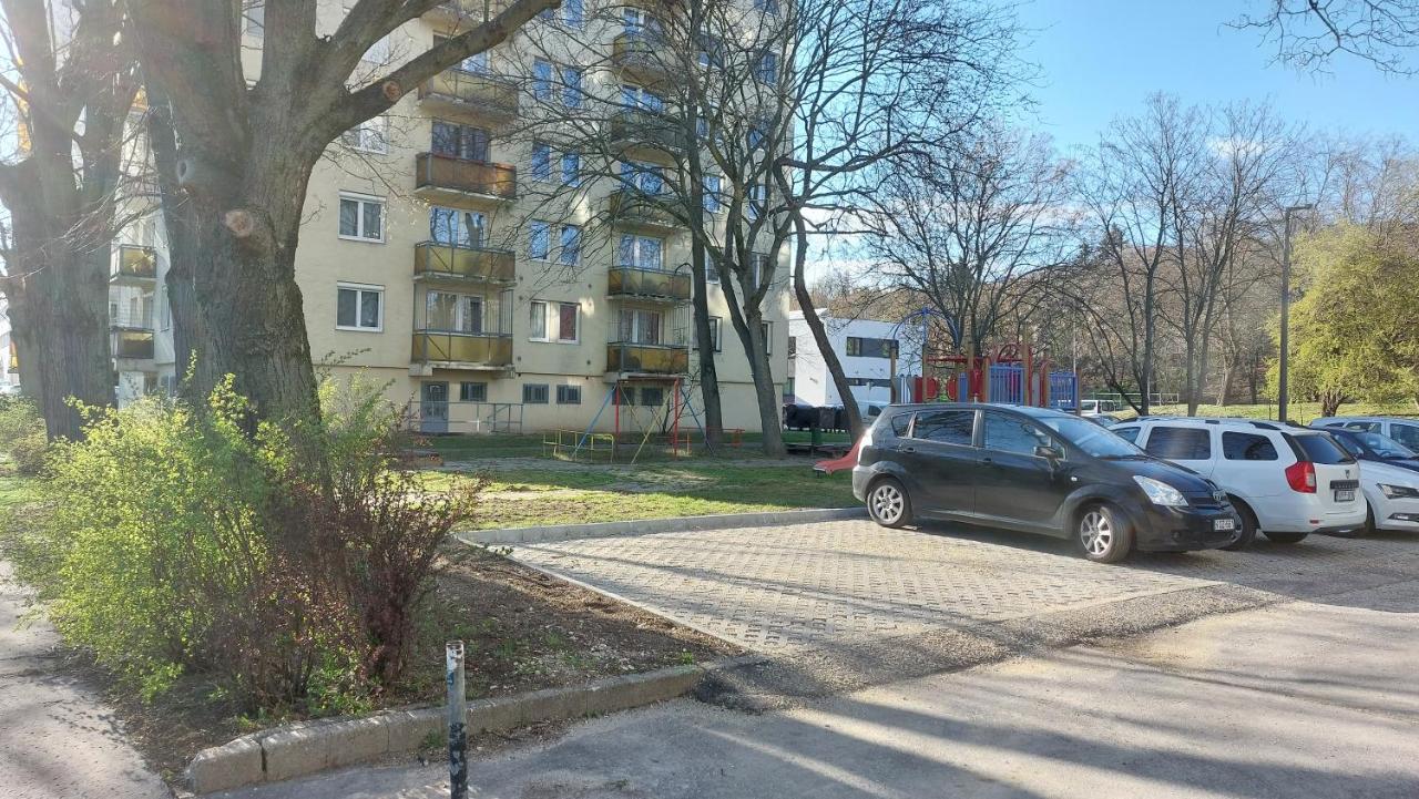 Szürke Macska Vendégszoba * * - B&B