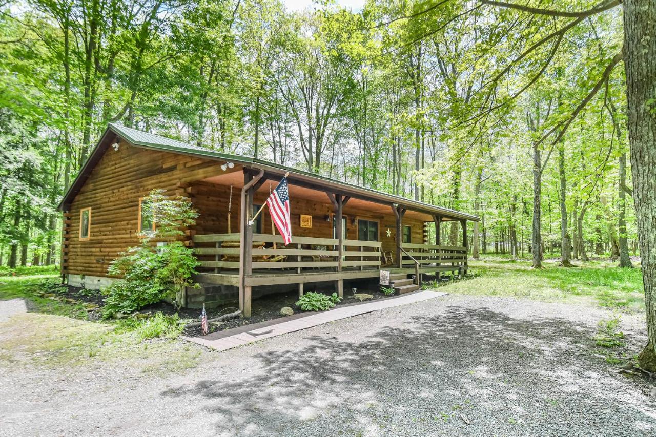 B&B Oakland - Lincoln Log Cabin - Bed and Breakfast Oakland