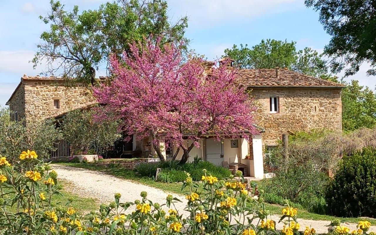 Agriturismo Timignano - B&B