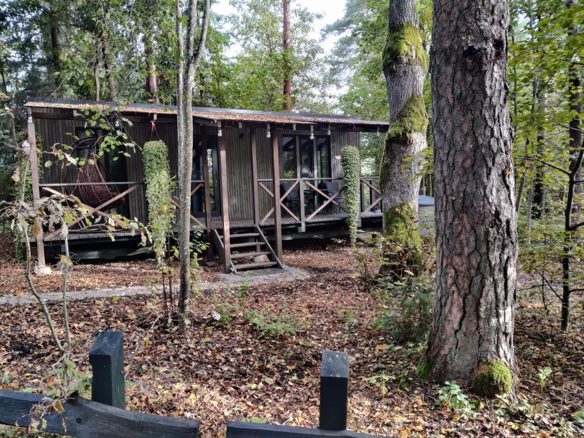 Meža māja - Bed and Breakfast Zaķumuiža