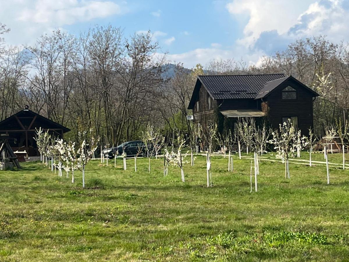 POLOVRAGA - casă la țară cu ciubăr - Ferienwohnung Polovragi