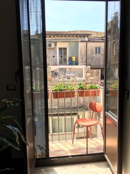 Domus 25 - B&B