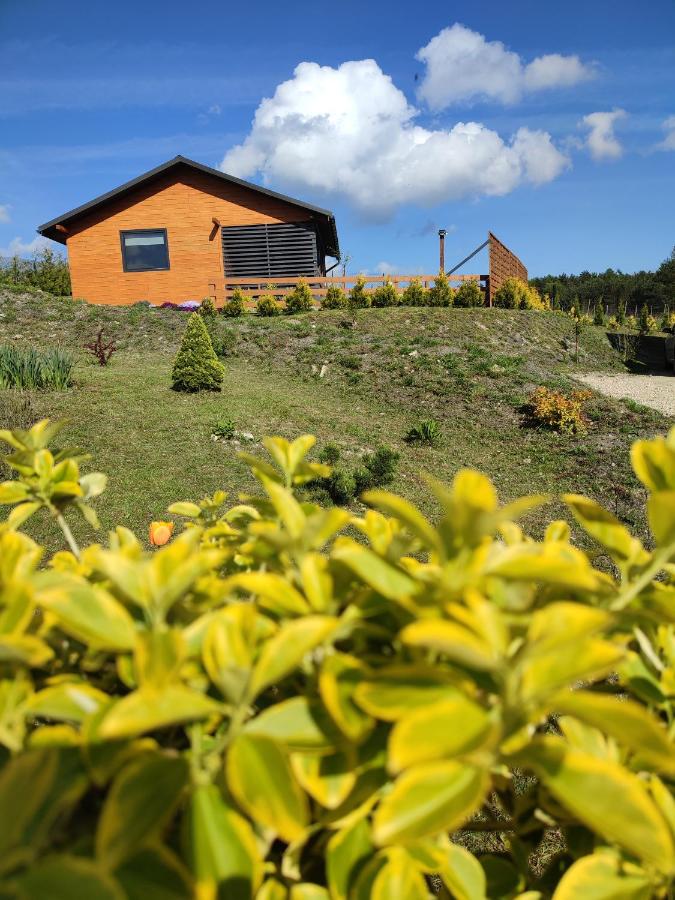 Roztocze, Domek Na Leśnym Wzgórzu nr2,Krasnobród,Zamość, Zwierzyniec, jacuzzi - B&B