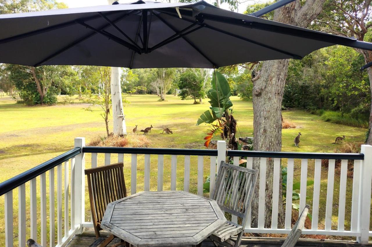 Lake Weyba Noosa Lodge & Kangaroos - B&B Peregian Beach